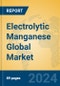 Electrolytic Manganese Global Market Insights 2024, Analysis and Forecast to 2029, by Manufacturers, Regions, Technology, Application - Product Thumbnail Image