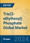 Tris(2-ethylhexyl) Phosphate Global Market Insights 2024, Analysis and Forecast to 2029, by Manufacturers, Regions, Technology, Application - Product Image