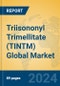 Triisononyl Trimellitate (TINTM) Global Market Insights 2024, Analysis and Forecast to 2029, by Manufacturers, Regions, Technology, Application - Product Image