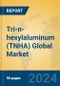 Tri-n-hexylaluminum (TNHA) Global Market Insights 2024, Analysis and Forecast to 2029, by Manufacturers, Regions, Technology, Application - Product Image