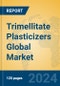 Trimellitate Plasticizers Global Market Insights 2024, Analysis and Forecast to 2029, by Manufacturers, Regions, Technology, Application, Product Type - Product Image