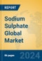 Sodium Sulphate Global Market Insights 2024, Analysis and Forecast to 2029, by Manufacturers, Regions, Technology, Application - Product Thumbnail Image