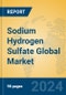 Sodium Hydrogen Sulfate Global Market Insights 2024, Analysis and Forecast to 2029, by Manufacturers, Regions, Technology, Application - Product Thumbnail Image