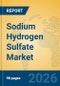Sodium Hydrogen Sulfate Market Insights, Analysis and Forecast 2026-2031 - Product Thumbnail Image