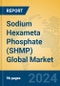 Sodium Hexameta Phosphate (SHMP) Global Market Insights 2024, Analysis and Forecast to 2029, by Manufacturers, Regions, Technology, Application, Product Type - Product Thumbnail Image