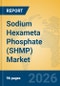 Sodium Hexameta Phosphate (SHMP) Market Insights, Analysis and Forecast 2026-2031 - Product Thumbnail Image