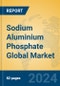 Sodium Aluminium Phosphate Global Market Insights 2024, Analysis and Forecast to 2029, by Manufacturers, Regions, Technology, Application, Product Type - Product Thumbnail Image