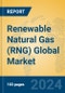 Renewable Natural Gas (RNG) Global Market Insights 2024, Analysis and Forecast to 2029, by Manufacturers, Regions, Technology, Application - Product Image