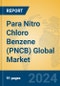 Para Nitro Chloro Benzene (PNCB) Global Market Insights 2024, Analysis and Forecast to 2029, by Manufacturers, Regions, Technology, Application - Product Thumbnail Image