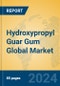 Hydroxypropyl Guar Gum Global Market Insights 2024, Analysis and Forecast to 2029, by Manufacturers, Regions, Technology, Application - Product Image
