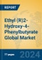 Ethyl (R)2-Hydroxy-4-Phenylbutyrate Global Market Insights 2024, Analysis and Forecast to 2029, by Manufacturers, Regions, Technology, Application - Product Image
