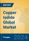 Copper Iodide Global Market Insights 2024, Analysis and Forecast to 2029, by Manufacturers, Regions, Technology, Application - Product Image