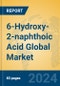 6-Hydroxy-2-naphthoic Acid Global Market Insights 2024, Analysis and Forecast to 2029, by Manufacturers, Regions, Technology, Application - Product Thumbnail Image