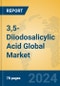 3,5-Diiodosalicylic Acid Global Market Insights 2024, Analysis and Forecast to 2029, by Manufacturers, Regions, Technology, Application - Product Image