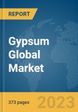 Gypsum Global Market Opportunities and Strategies to 2031- Product Image