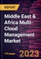 Middle East & Africa Multi-Cloud Management Market Forecast to 2028 - COVID-19 Impact and Regional Analysis - Product Thumbnail Image