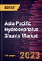 Asia Pacific Hydrocephalus Shunts Market Forecast to 2028 - COVID-19 Impact and Regional Analysis - Product Thumbnail Image