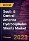 South & Central America Hydrocephalus Shunts Market Forecast to 2028 - COVID-19 Impact and Regional Analysis - Product Thumbnail Image