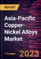 Asia-Pacific Copper-Nickel Alloys Market Forecast to 2028 - COVID-19 Impact and Regional Analysis - Product Thumbnail Image
