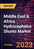 Middle East & Africa Hydrocephalus Shunts Market Forecast to 2028 - COVID-19 Impact and Regional Analysis- Product Image