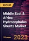 Middle East & Africa Hydrocephalus Shunts Market Forecast to 2028 - COVID-19 Impact and Regional Analysis - Product Thumbnail Image