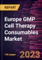 Europe GMP Cell Therapy Consumables Market Forecast to 2028 - COVID-19 Impact and Regional Analysis - Product Thumbnail Image