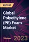 Global Polyethylene (PE) Foam Market 2023-2027 - Product Thumbnail Image
