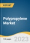 Polypropylene Market Size, Share & Trends Analysis Report By Polymer Type (Homopolymer, Copolymer), By Process, By Application, By End-Use, By Region, And Segment Forecasts, 2023 - 2030 - Product Thumbnail Image