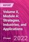 Volume X, Module A: Strategies, Industries, and Applications - Product Thumbnail Image