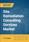 Site Remediation Consulting Services Market Report 2025 - Product Image
