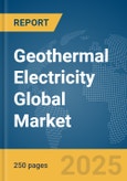 Geothermal Electricity Global Market Report 2024- Product Image