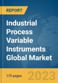 Industrial Process Variable Instruments Global Market Report 2024- Product Image