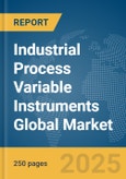 Industrial Process Variable Instruments Global Market Report 2025- Product Image
