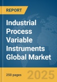 Industrial Process Variable Instruments Global Market Report 2024- Product Image