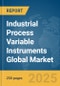 Industrial Process Variable Instruments Global Market Report 2025 - Product Thumbnail Image