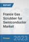 France Gas Scrubber for Semiconductor Market: Prospects, Trends Analysis, Market Size and Forecasts up to 2030 - Product Image