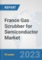 France Gas Scrubber for Semiconductor Market: Prospects, Trends Analysis, Market Size and Forecasts up to 2030 - Product Thumbnail Image