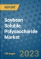 Soybean Soluble Polysaccharide Market Outlook in 2023 and Beyond: Market Size, Market Share, Growth Opportunities, Trends, Forecasts by Types, Applications and Companies to 2030 - Product Image