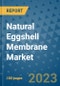 Natural Eggshell Membrane Market Outlook in 2023 and Beyond: Market Size, Market Share, Growth Opportunities, Trends, Forecasts by Types, Applications and Companies to 2030 - Product Image