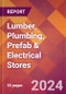 Lumber, Plumbing, Prefab & Electrical Stores - 2024 U.S. Market Research Report with Updated Recession Risk Forecasts - Product Image