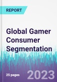 Global Gamer Consumer Segmentation- Product Image