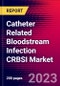 Catheter Related Bloodstream Infection CRBSI Market by Type, By Route of Administration, by Source of Infection, by Distribution Channel, and by Region - Global Forecast to 2022-2033 - Product Image
