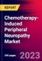 Chemotherapy-Induced Peripheral Neuropathy Market, By Treatment, By Drug Class, Distribution Channel, and by Region - Global Forecast to 2023-2033 - Product Image