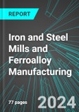 Iron and Steel Mills and Ferroalloy Manufacturing (U.S.): Analytics, Extensive Financial Benchmarks, Metrics and Revenue Forecasts to 2030, NAIC 331100- Product Image