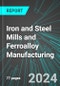Iron and Steel Mills and Ferroalloy Manufacturing (U.S.): Analytics, Extensive Financial Benchmarks, Metrics and Revenue Forecasts to 2030, NAIC 331100 - Product Thumbnail Image