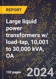2024 Global Forecast for Large Liquid Power Transformers W/ Load-tap, 10,001 to 30,000 KVA, OA (2025-2030 Outlook)-Manufacturing & Markets Report- Product Image