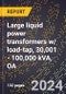 2024 Global Forecast for Large Liquid Power Transformers W/ Load-tap, 30,001 - 100,000 KVA, OA (2025-2030 Outlook)-Manufacturing & Markets Report - Product Image