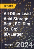 2024 Global Forecast for All Other Lead Acid Storage Batt., BCI Dim. Sz. Grp. 8D/larger (2025-2030 Outlook)-Manufacturing & Markets Report- Product Image