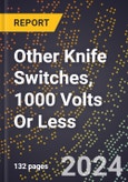 2024 Global Forecast for Other Knife Switches, 1000 Volts Or Less (2025-2030 Outlook)-Manufacturing & Markets Report- Product Image