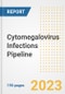 Cytomegalovirus (HHV-5) Infections Pipeline Report, 2023 - Planned Drugs by Phase, Mechanism of Action, Route of Administration, Type of Molecule, Market Trends, Developments, and Companies - Product Image